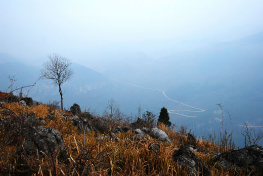 dsc_0268.jpg