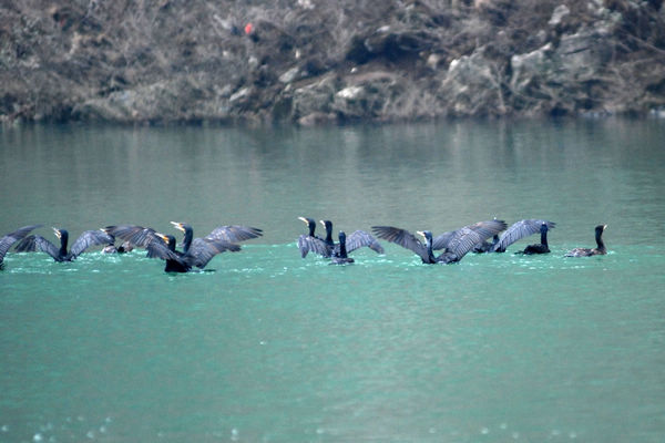 dsc_0185.jpg