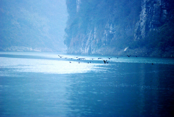 dsc_0177.jpg