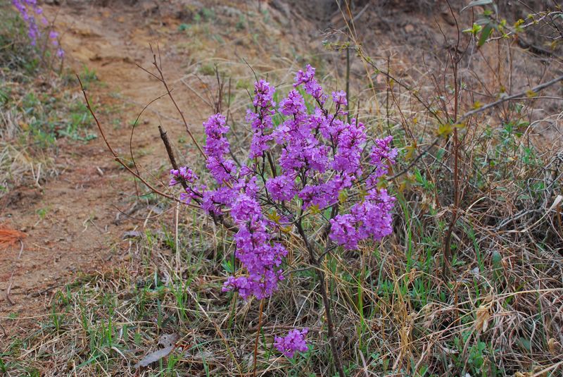 dsc_1877.jpg