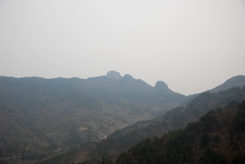 dsc_1966.jpg