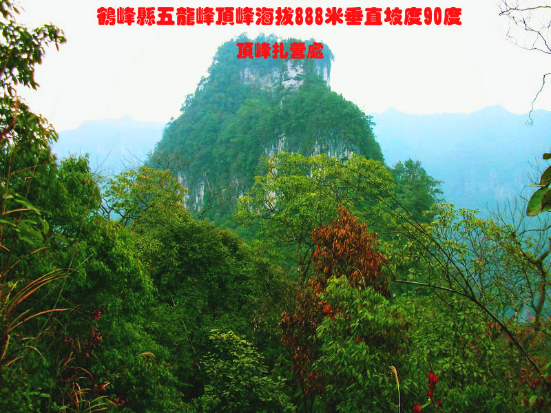 alim�����嶥��2.jpg