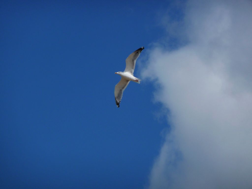 p1080015.jpg