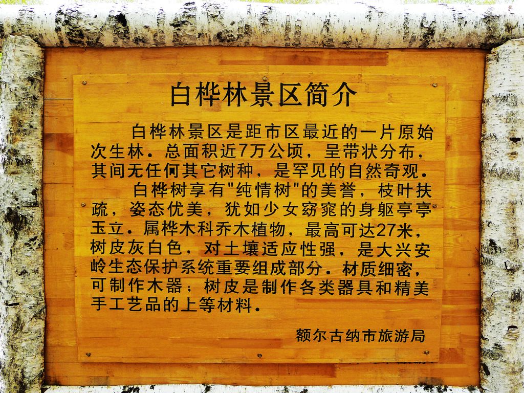 p1170465.jpg