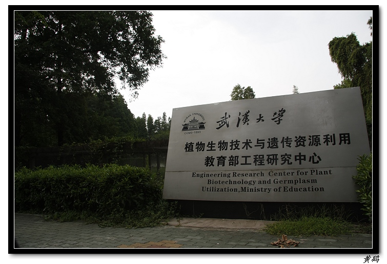 �人��ѧ108.jpg