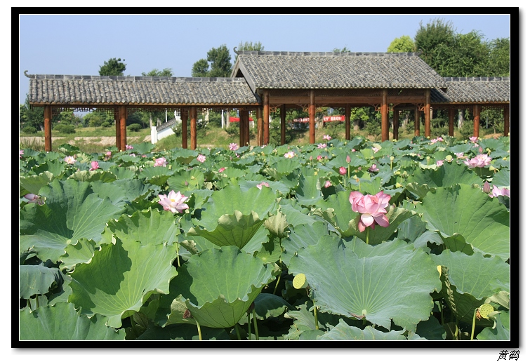 ����ˮկ12.jpg