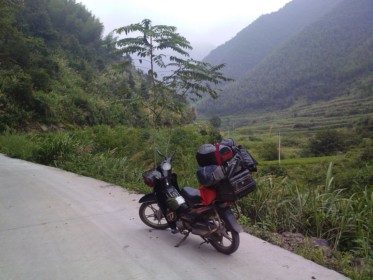 lgim0007.jpg