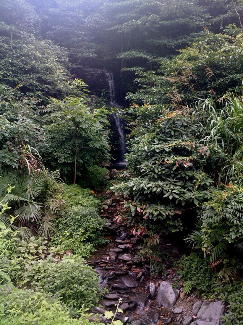 ��ת lgim0018.jpg
