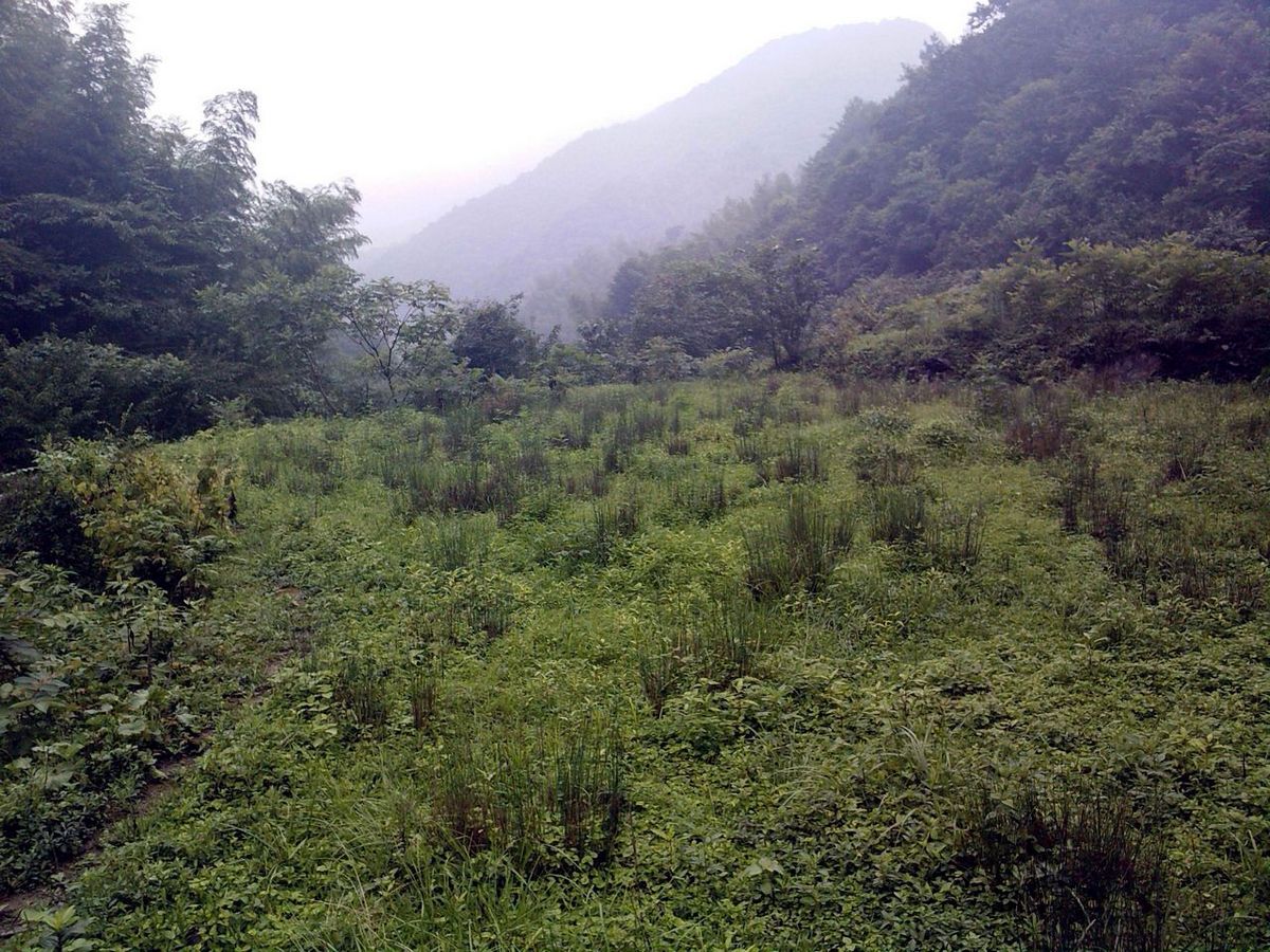 lgim0019.jpg