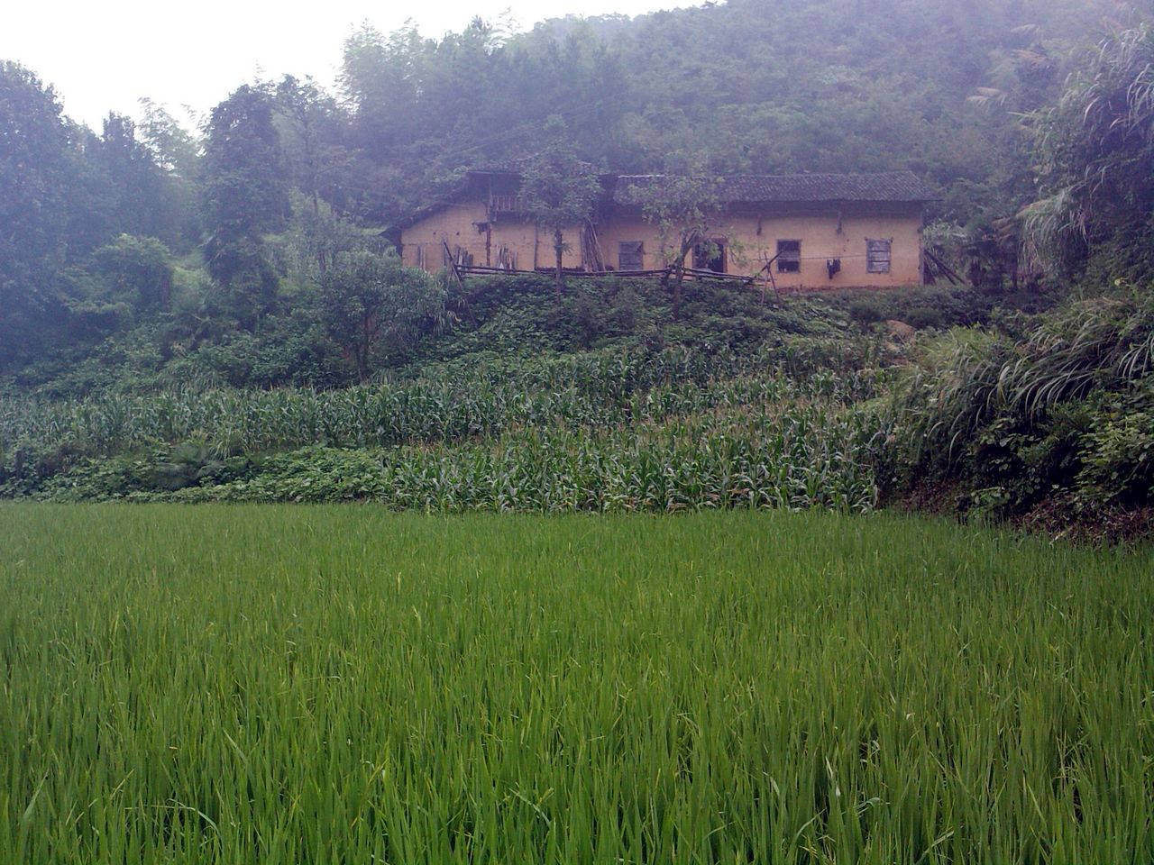 lgim0023.jpg