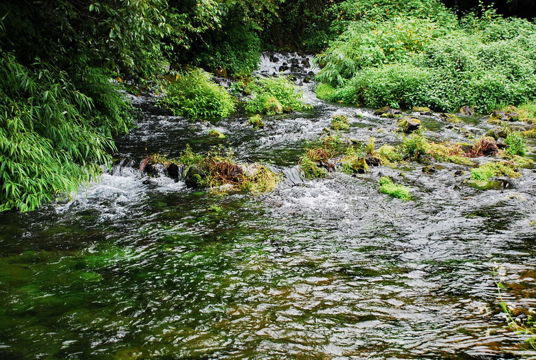 dsc_0086.jpg