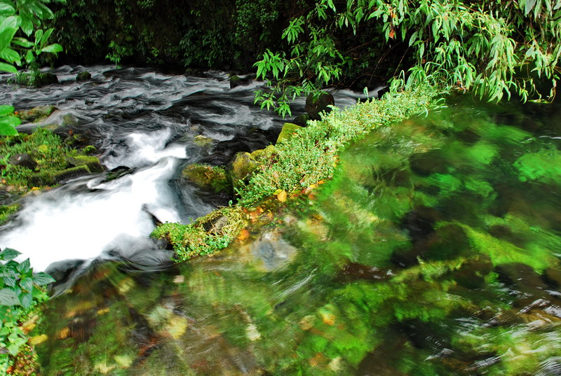 dsc_0111.jpg