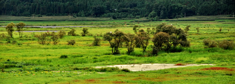 dsc_0156.jpg