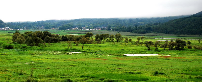 dsc_0159.jpg