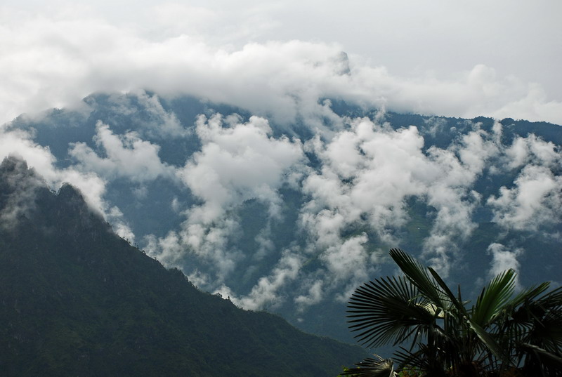 dsc_0184.jpg