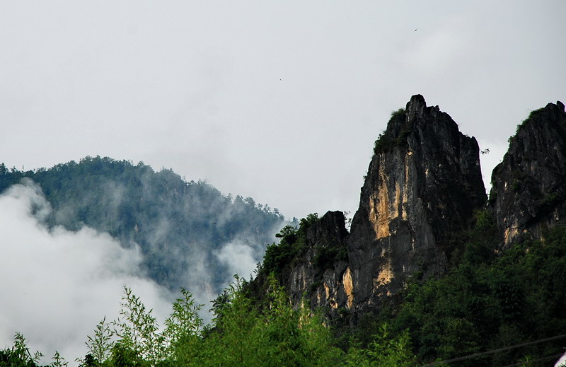 dsc_0211.jpg