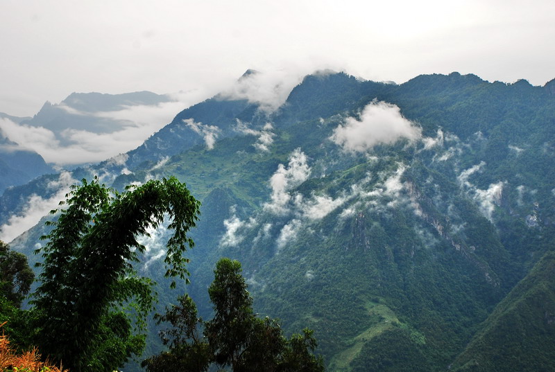 dsc_0240.jpg