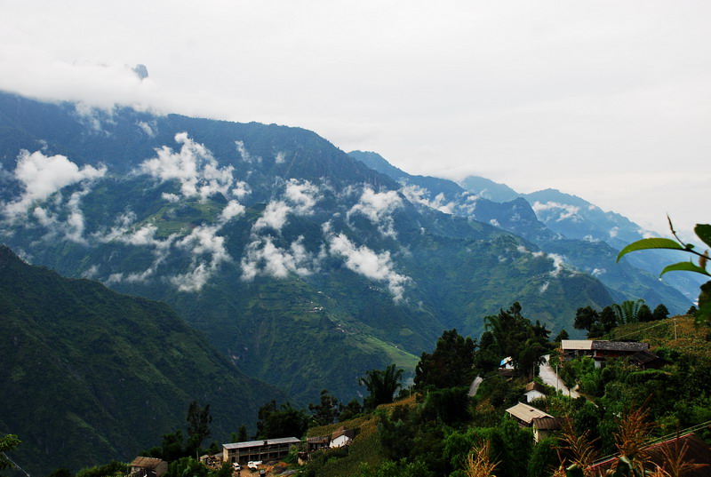 dsc_0243.jpg