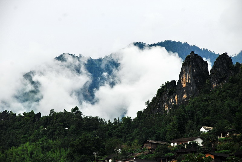 dsc_0242.jpg