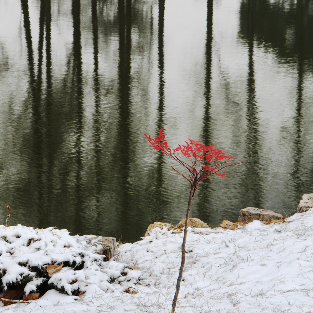_dsc8657.jpg