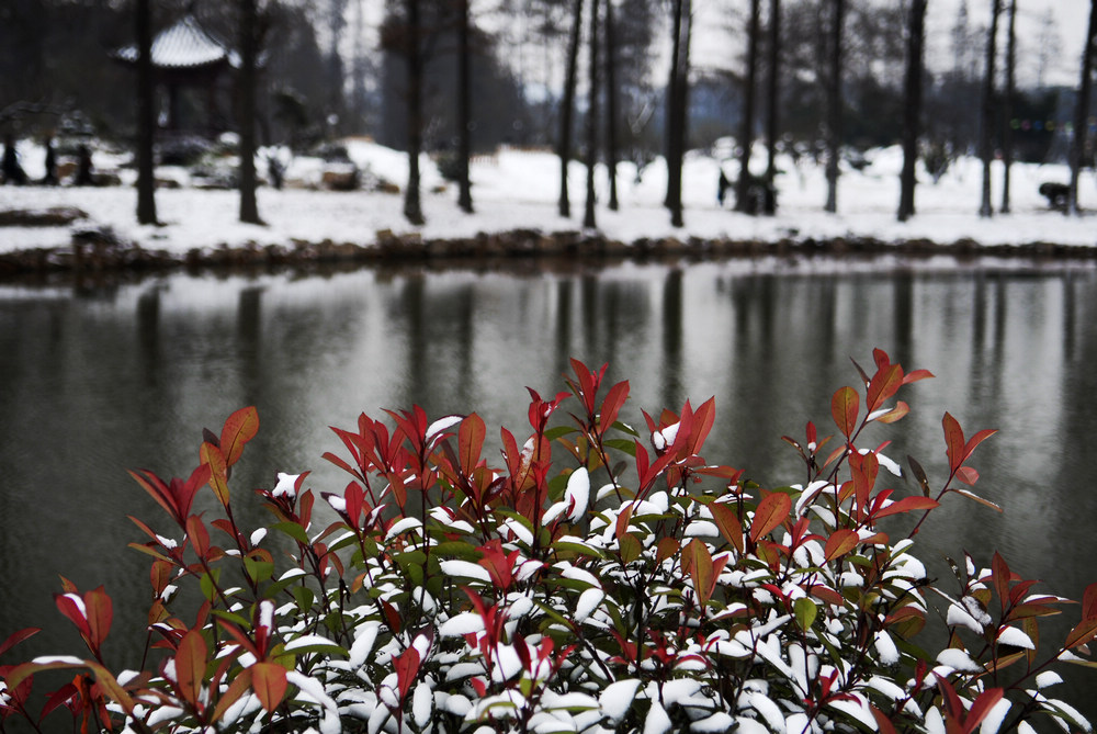 _dsc8665.jpg