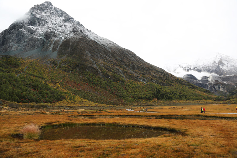 6u0b9960.jpg