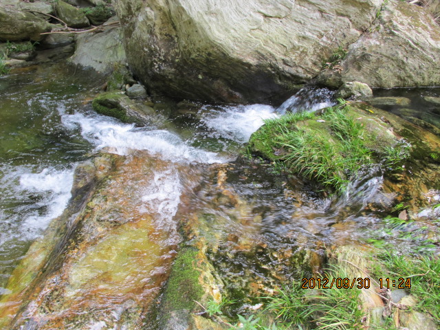 img_5754.jpg