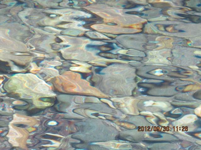 093037.jpg