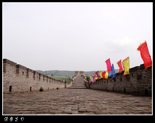 dsc06984_conew1.jpg