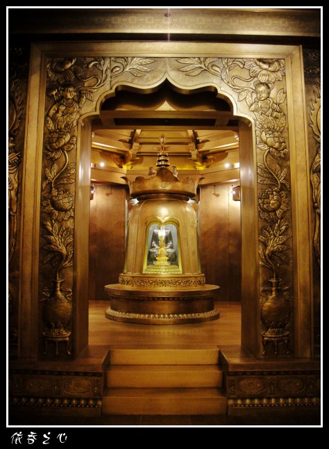 dsc07445_conew1.jpg