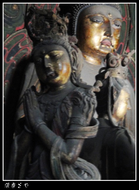 dsc07459_conew1.jpg
