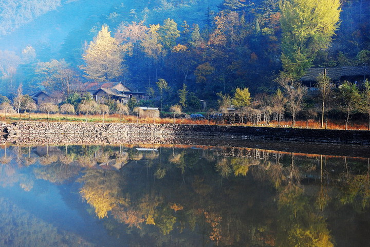 dsc_0873_1.jpg