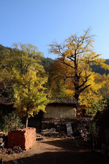 dsc_5693.jpg