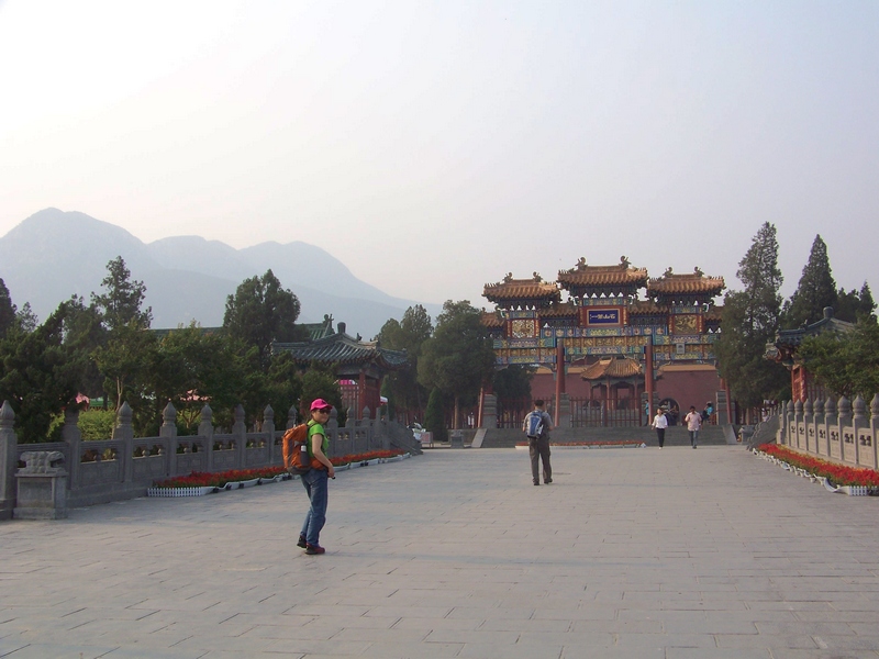 100_9941-1.jpg