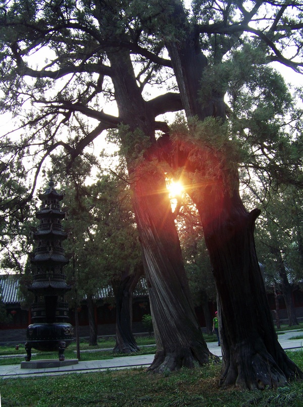 100_9974-1.jpg