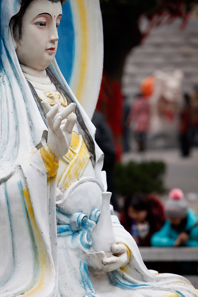 _mg_8445.jpg