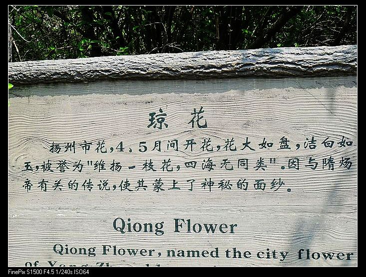 ��Ƭ 655.jpg