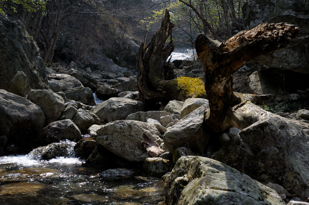 _dsc4094.jpg