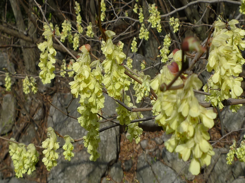 p1000910.jpg