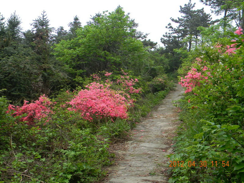 dscn1892.jpg