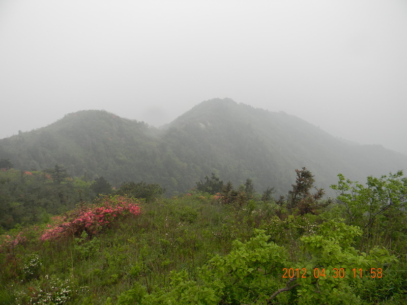 dscn1893.jpg