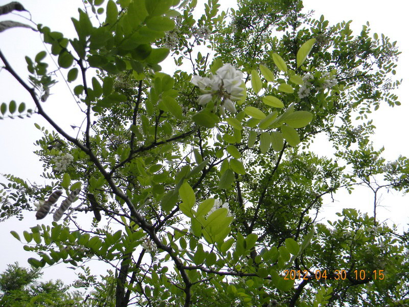 dscn1883.jpg