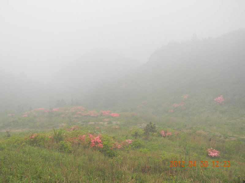 dscn1898.jpg