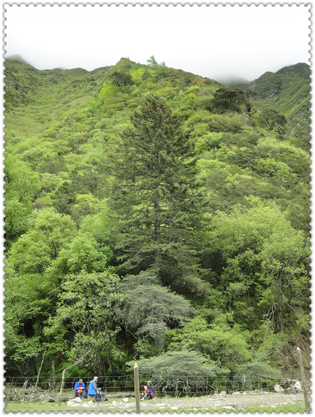 dsc��00856_����.jpg