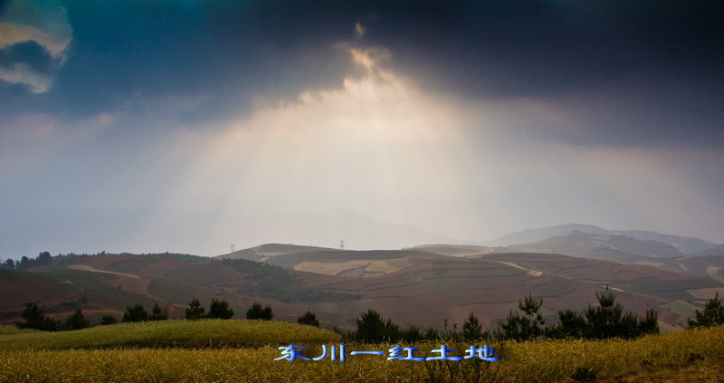 img_2977_��С��С.jpg
