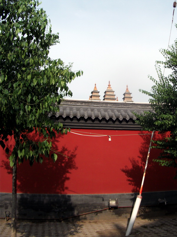 dscf0051.jpg