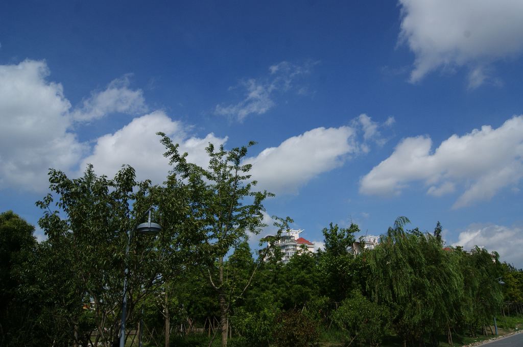 dsc00691.jpg