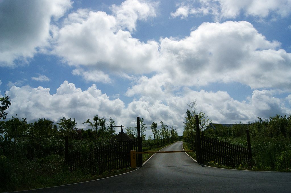 dsc00760.jpg