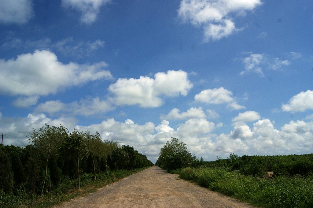 dsc00770.jpg