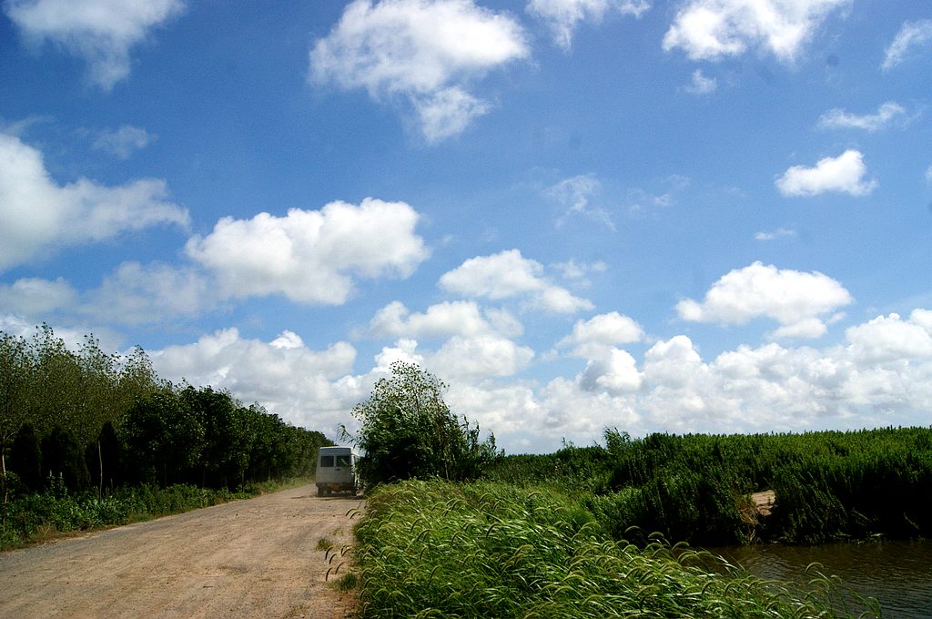 dsc00772.jpg